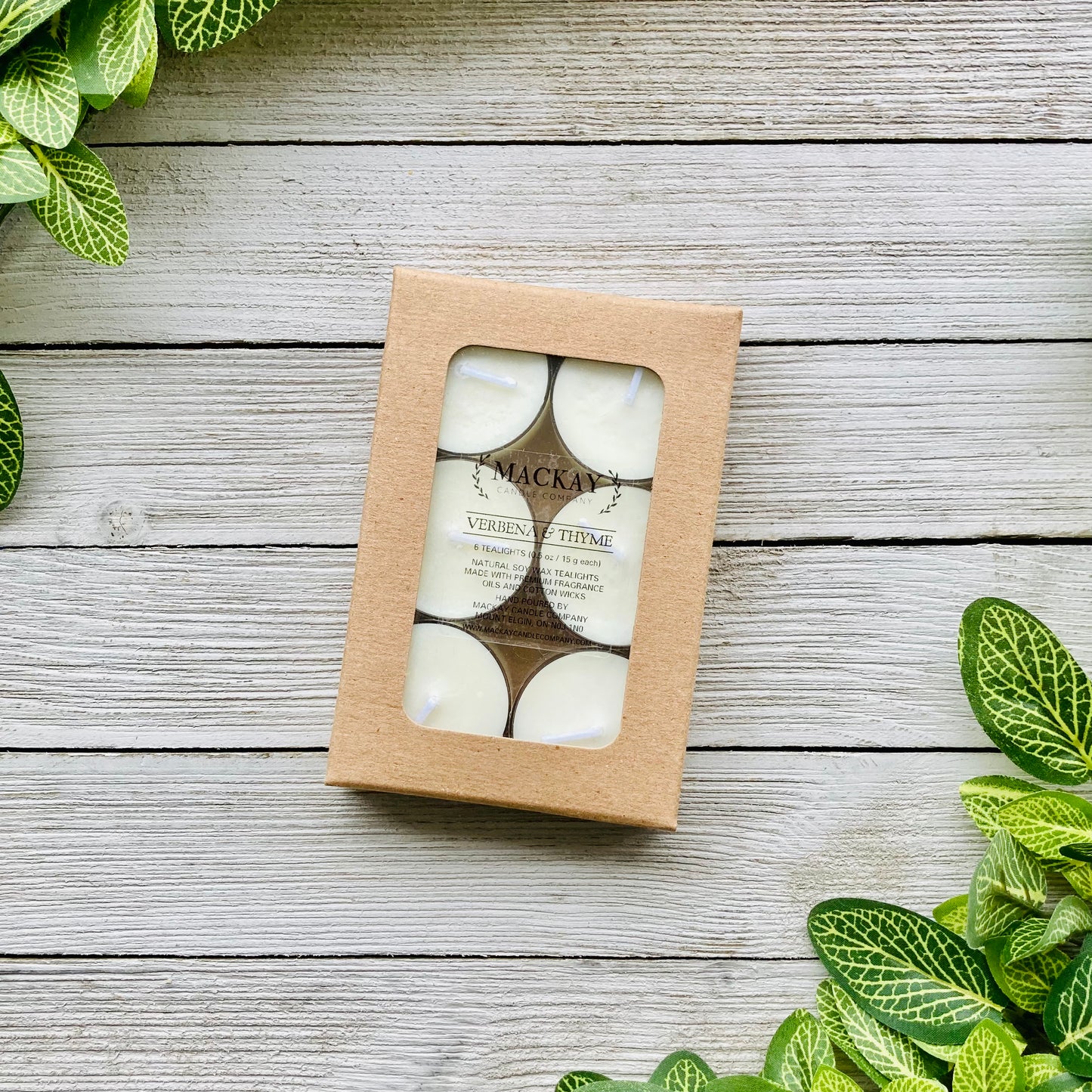 Verbena & Thyme Tealights